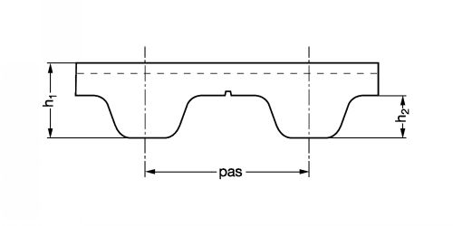 Courroie dentée polyuréthane pas métrique - Plan