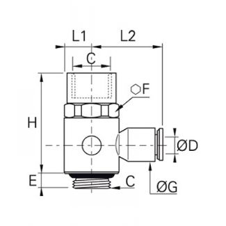 Banjo simple taraude mâle BSP cylindrique et métrique - LEGRIS 3124 - Plan