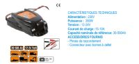 Chargeur de batterie électronique 12-24v