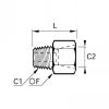 Adaptateur mâle BSP conique/femelle NPT - LEGRIS 0167 - Plan