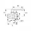 Robinet à purge 2 voies femelle BSP cylindrique - LEGRIS 0469 - Plan