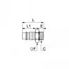 Embout mâle BSP cylindrique, profil Européen - LEGRIS 087E - Plan