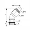 Équerre à 45° à piquage mâle BSP cylindrique et métrique - LEGRIS 3133 - Plan